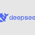 DeepSeek遭多國封殺！臺灣是否全面禁用 要看「這件事」