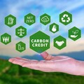 非洲推動碳市場戰略 加速氣候金融與社區共榮