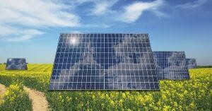 太陽能板助草原抗旱！科研發現：提升土壤濕度與植物生長率