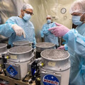 75隻小鼠、千隻果蠅將上太空 俄羅斯太空總署打造太空版諾亞方舟