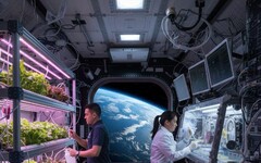 太空站開種植物、培養骨細胞！NASA展開太空農業與抗老研究
