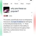 《滾石》怒告Google！AI摘要功能搶網站流量、影響媒體生計