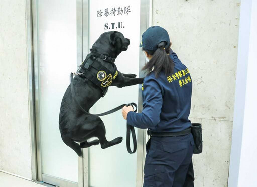 台灣首隻「電子產品偵測犬」立大功 51億洗錢機房被牠一聞秒抄了