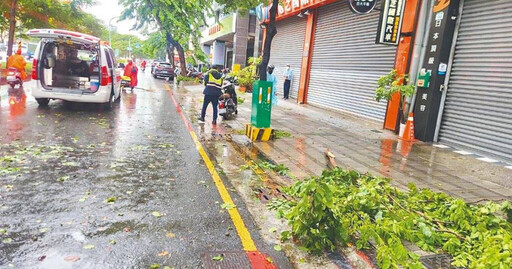 高雄強對流襲城！大雨掀樹、落雷傷人 溪水暴漲險困4童奇蹟脫險