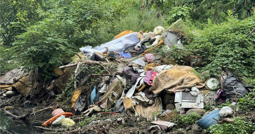 台中鳥竹圍公園變床墊山！家具行非法棄置30多張床 環保局強力掃蕩