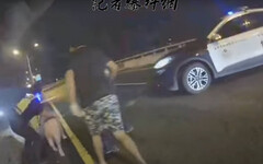 國道豬途悲歌1／每年上萬黑數慘死陽關道 「沒人查緝」豬成公路最大隱患