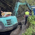 誤信導航開入山區險境！貨車駕駛陷落山壁 警方與挖土機聯手救援