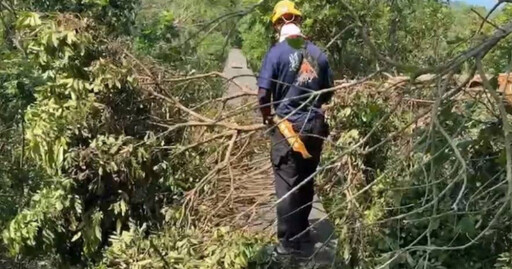 天人永隔！高雄7旬翁爬壽山失聯 警消尋獲已成冰冷遺體