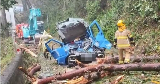 康芮肆虐！合歡山14級強風「破紀錄」 路樹砸小貨車害副駕女乘客身亡