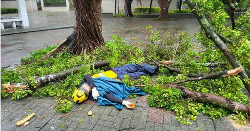 強颱康芮風強雨驟！ 北市公園處2工作人員遭路樹擊倒