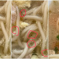 高雄水餃店湯麵竟有「漂浮蟲」 他直呼太噁：免費加蛋白質