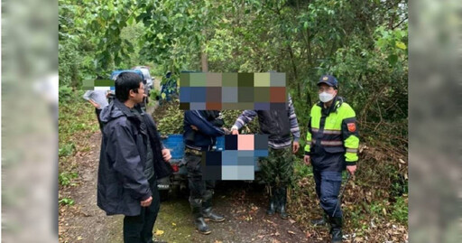 檳榔賊出沒花蓮!2男偷割「122芎檳榔」全被拍 下山遇警栽了