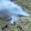 陽明山火警擴大！「燃燒面積30公頃」滅火難度高 消防局長曝2原因