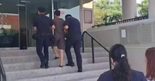 持刀殺害髮妻小王 越南男子籌15萬賠償盼輕判