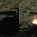 嚇壞民眾！高雄中央公園「傳爆裂聲、竄火花」 疑電線接觸不良