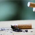 苗栗提高檢舉獎金策略奏效！他狂抓630件菸蒂違規爽賺12萬