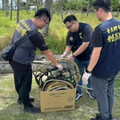 台東電纜大盜現形！竊盜集團跨縣行竊 被捕涉加重罪