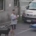 媽祖回鑾傳竊案！男賊偷香客車對講機落跑 「忠犬」成線民助破案