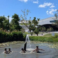 衛武營公園淪水上樂園！屁孩闖水池嬉戲引撻伐 最高恐罰6000