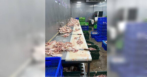 黑工藏牆縫!五股雞肉廠暗聘泰籍工 16人慘遭剝削