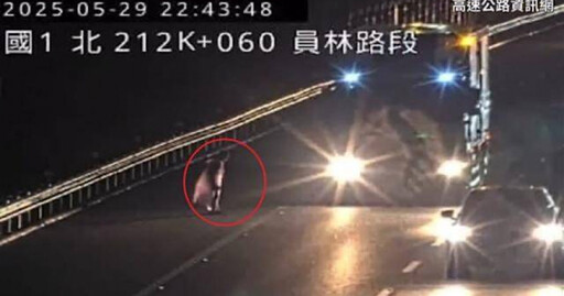國一驚悚車禍!男雨夜走上路肩遭三車連撞身亡