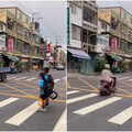 小學生站斑馬線…28秒「10車眼前衝過」沒人停讓 警方要罰了