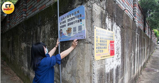 浪貓危機1/苗栗鄰長疑找議員施壓抓TNVR貓 防疫所涉濫捕爭議