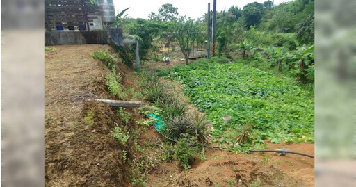 驚見倒臥農地!台電員工急報案 76歲翁OHCA送醫不治