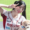 很想發大財 樂天女孩遇投資詐騙慘虧200萬