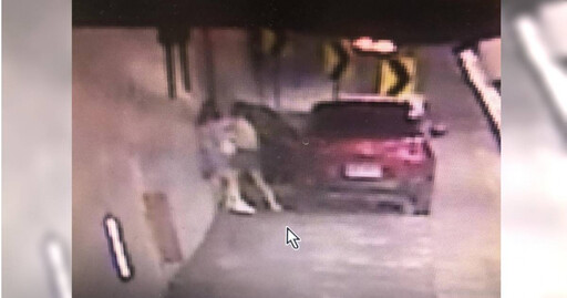 國道雪隧母女為「播歌」大吵大打! 手機丟窗外爆荒謬肉搏戰