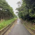 越籍移工雨天電魚慘觸電 不幸活活被電死身亡