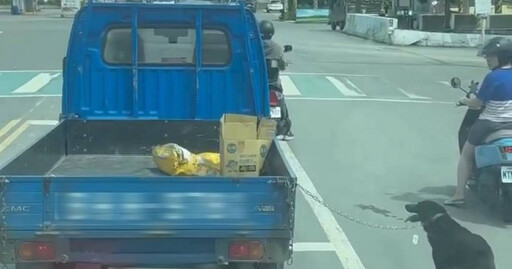 彰化疑似出現虐狗情形!可憐黑狗烈日下竟徒步追車