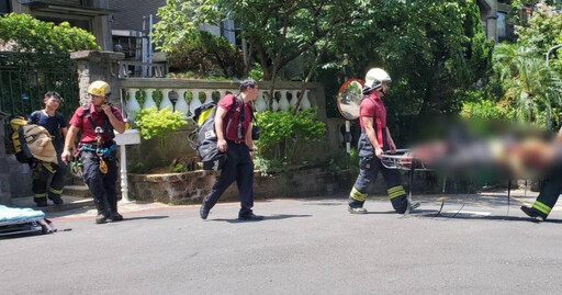 快訊/北市捕蜂工人卡樹上無生命跡象! 消防獲報火速送醫搶救