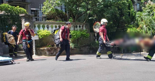 北市動保處委外捕蜂工人卡樹上突無心跳!緊急送醫仍宣告不治