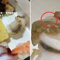 扇貝竟疑似蛆在爬！連鎖壽司店甩鍋消費者 台中食安處將稽查