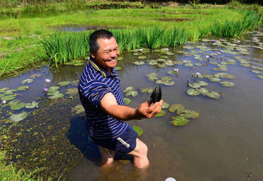 蛙生好難2/年清上千公斤外來植物 生態殺手竟是經營團隊親手引進