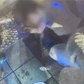 新北男疑毒駕肇事拒捕 警噴辣椒水制伏逮人