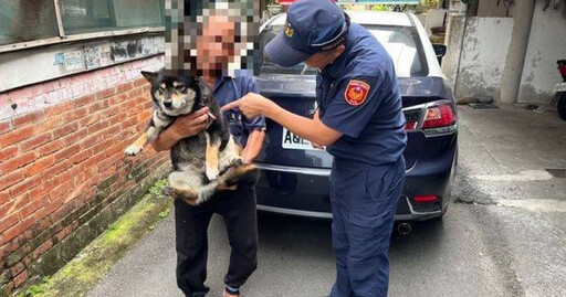 迷路黑柴誤上陌生機車不肯下來 警靠「饅頭」名牌助牠回家