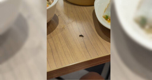 逛百貨吃灌湯包「天降老鼠屎」秒反胃嘔吐 業者回應致歉