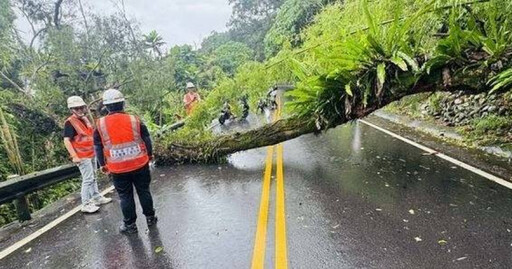 北宜公路驚傳倒樹阻路！67.8公里處雙向封閉 駕駛人急繞道避險