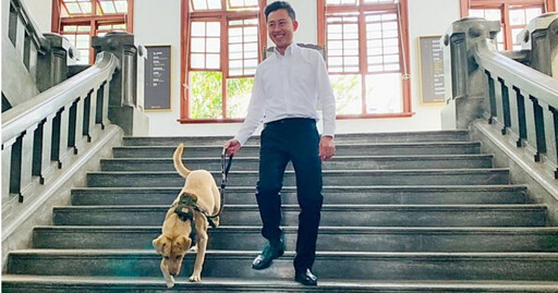 市犬淪浪犬1/前新竹市府代言犬結局這樣! 棕棕遭遺棄重回收容所