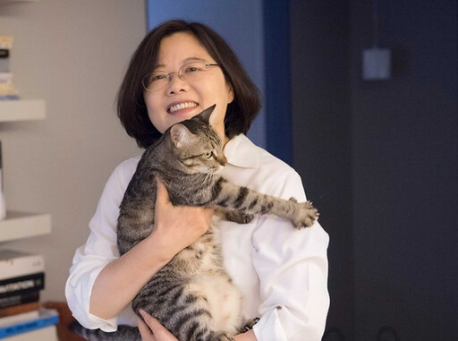 市犬淪浪犬2/政治明星犬命運大不同 蔡想想浪貓變前總統第一寵物
