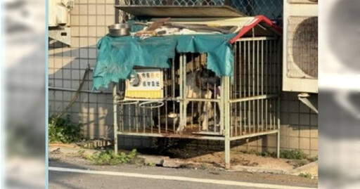 議員陪女兒練車突變救狗大戰 肉身擋犬反遭狠咬送醫