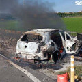高雄男遛狗遭行刑式槍決！兇嫌縱火燒車滅證 共犯、車主關係曝光