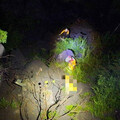 鬼月首夜驚魂 重機男阿里山公路失控墜50米深谷