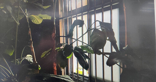 渡假返家竟發現2萬5紅包被偷 落魄廚師成慣竊被逮