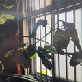 渡假返家竟發現2萬5紅包被偷 落魄廚師成慣竊被逮
