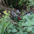 74歲老翁晨運返家下坡急煞失控 「連人帶車」摔進山溝