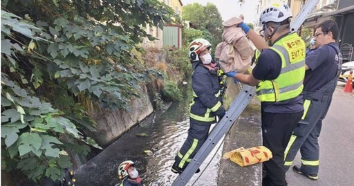 排水溝驚見新生嬰屍！ 台中潭子區清晨2米深大水道發現連臍帶嬰兒