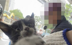 小奶貓躲颱風鑽進機車中出不來 三峽警成「喵喵救援隊」成功抱出小賓士